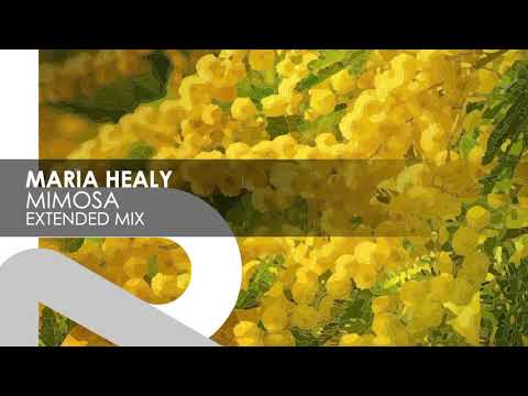 Maria Healy – Mimosa