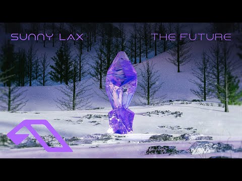 Sunny Lax – The Future (@SunnyLaxMusic)