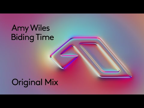 Amy Wiles – Biding Time