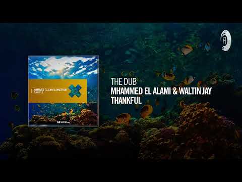 Paul van Dyk 2023 anthem: Mhammed El Alami & Waltin Jay – Thankful (Dub)