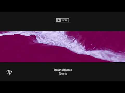 Deciduous – Nera