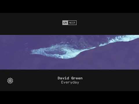 David Green – Everyday