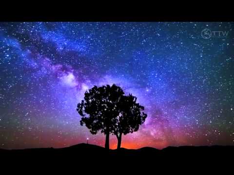 Arctic Moon – Starships Over Alice (Original Mix) [Music Video] [FSOE]