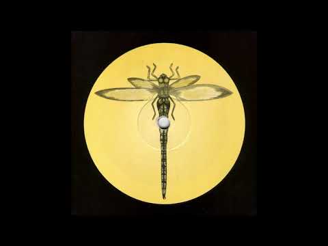 Genetic – Transmission EP [1994] Dragonfly Records [Goa Trance, Acid Trance, Trance]