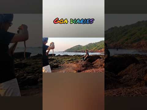 Dear Zindagi lane at Goa | Anjuna Beach ⛱️ North Goa | Goa Trip |