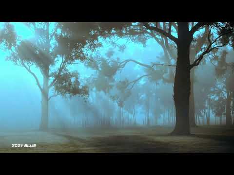 Gayax – Tree Of Life (Original Mix) [Music Video]