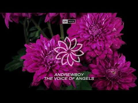 Andrewboy – Angels of the Voices
