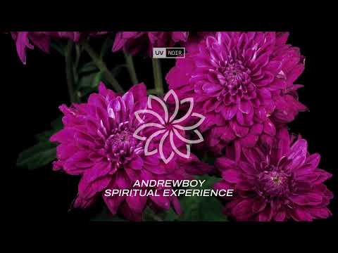 Andrewboy – Spiritual Experience