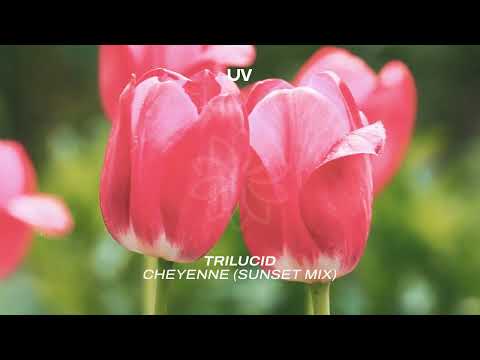 Trilucid – Cheyenne (Sunset Mix)