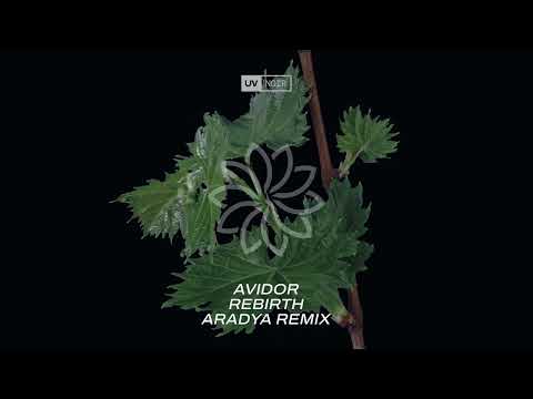 Avidor – Rebirth (Aradya Remix)