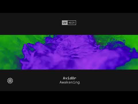 Avidör – Awakening