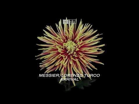 Messier, Lorenzo Turco – Arrival