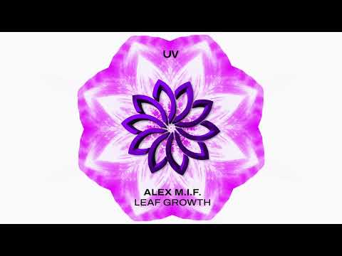Alex M.I.F. – Leaf Growth