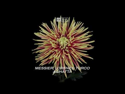 Messier, Lorenzo Turco – Aghatta
