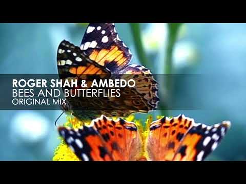 Roger Shah & Ambedo – Bees And Butterflies